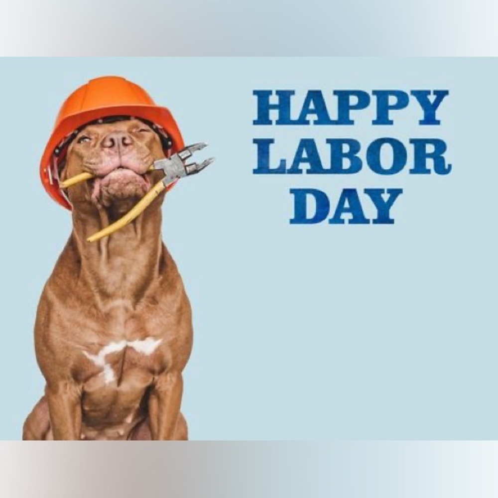 Happy Labor Day y’all! Enjoy the long weekend ending and see you shopping soon
